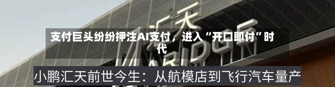 支付巨头纷纷押注AI支付，进入“开口即付	”时代-第2张图片