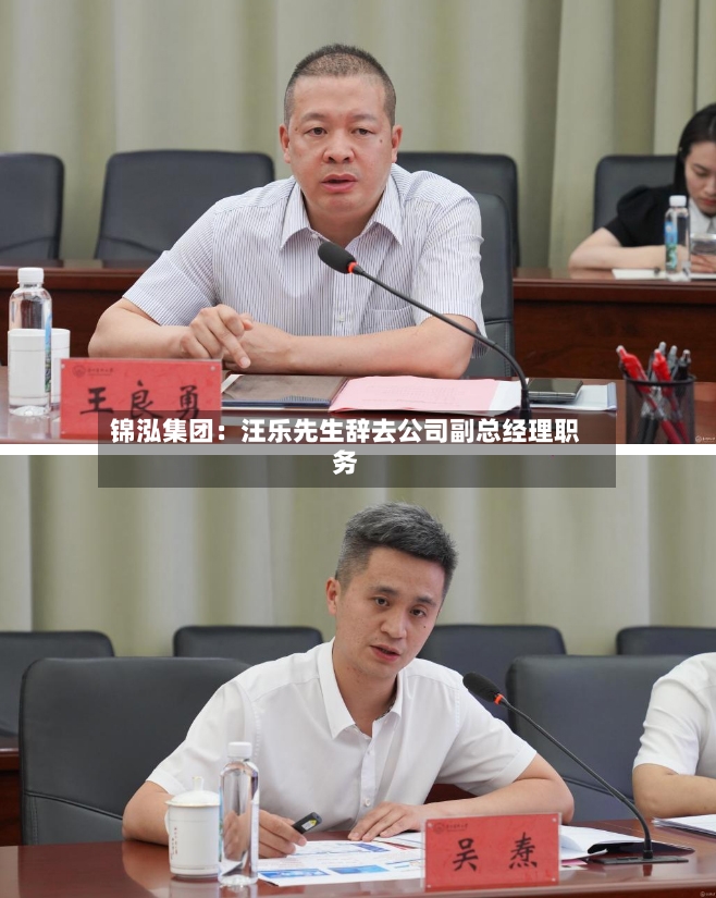 锦泓集团：汪乐先生辞去公司副总经理职务-第2张图片