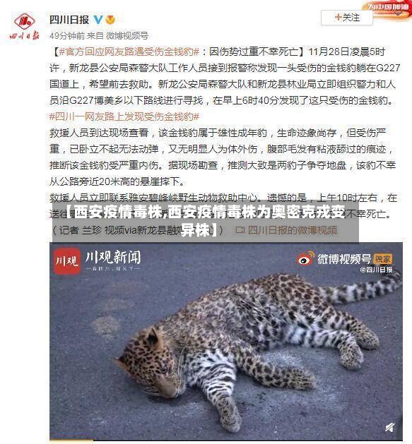 【西安疫情毒株,西安疫情毒株为奥密克戎变异株】-第2张图片