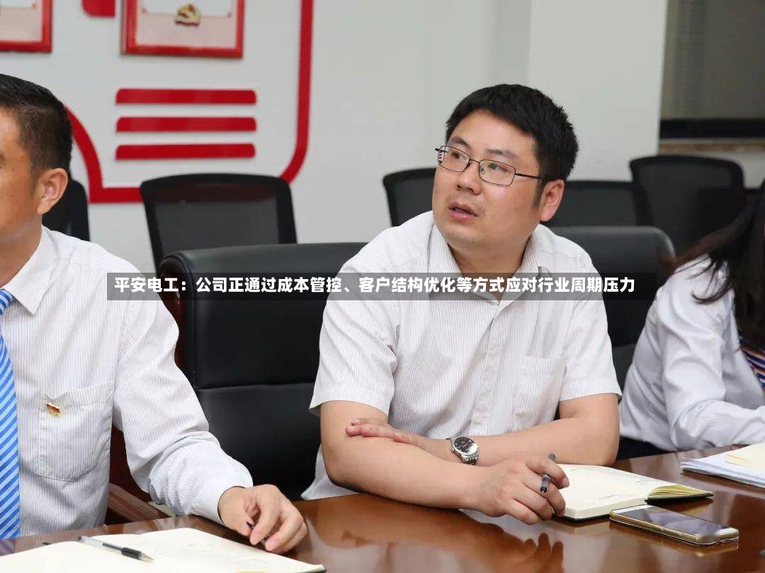 平安电工：公司正通过成本管控、客户结构优化等方式应对行业周期压力-第3张图片