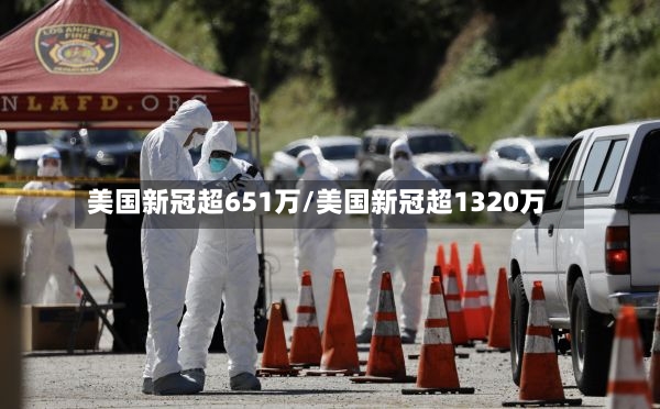 美国新冠超651万/美国新冠超1320万
