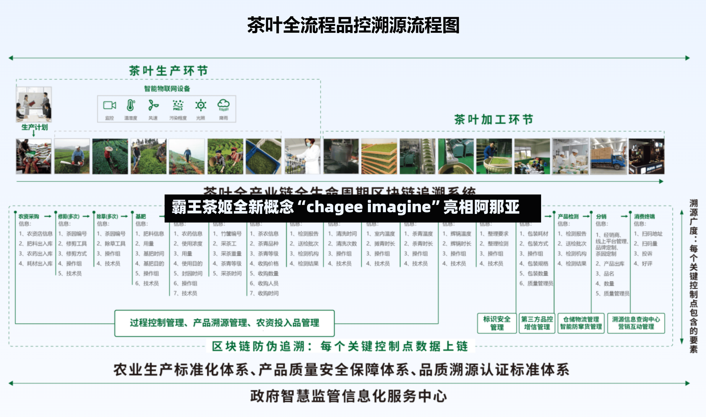 霸王茶姬全新概念“chagee imagine	”亮相阿那亚-第3张图片