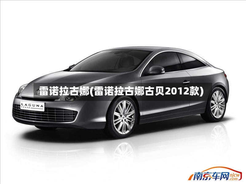 雷诺拉古娜(雷诺拉古娜古贝2012款)-第2张图片