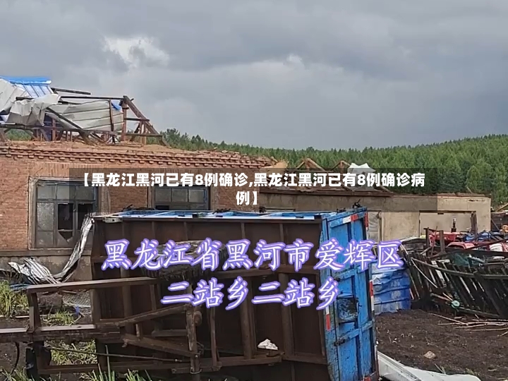 【黑龙江黑河已有8例确诊,黑龙江黑河已有8例确诊病例】-第3张图片