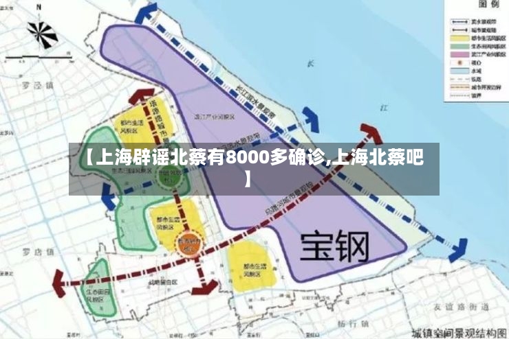 【上海辟谣北蔡有8000多确诊,上海北蔡吧】-第2张图片