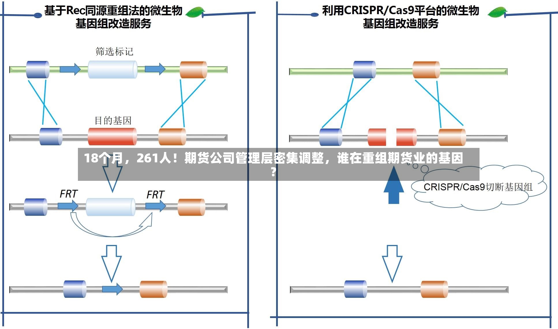 18个月，261人！期货公司管理层密集调整	，谁在重组期货业的基因？-第3张图片