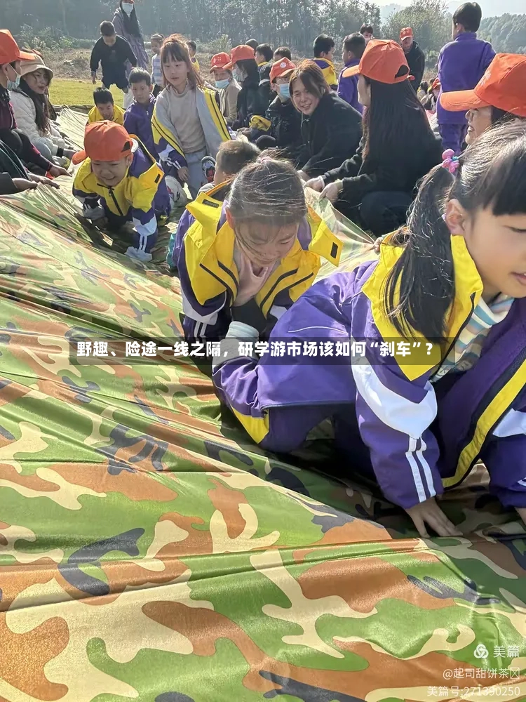 野趣	、险途一线之隔，研学游市场该如何“刹车	”？-第3张图片