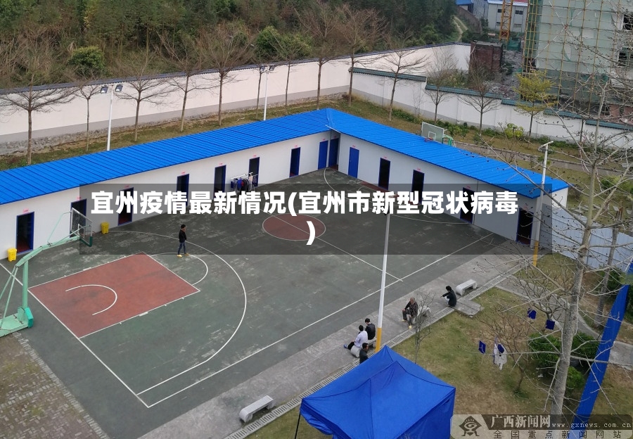 宜州疫情最新情况(宜州市新型冠状病毒)-第3张图片