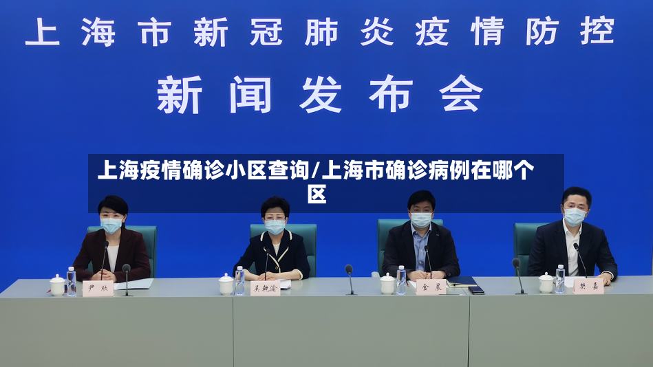 上海疫情确诊小区查询/上海市确诊病例在哪个区