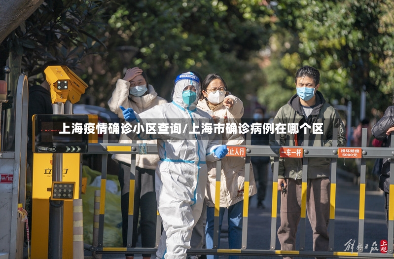 上海疫情确诊小区查询/上海市确诊病例在哪个区-第2张图片