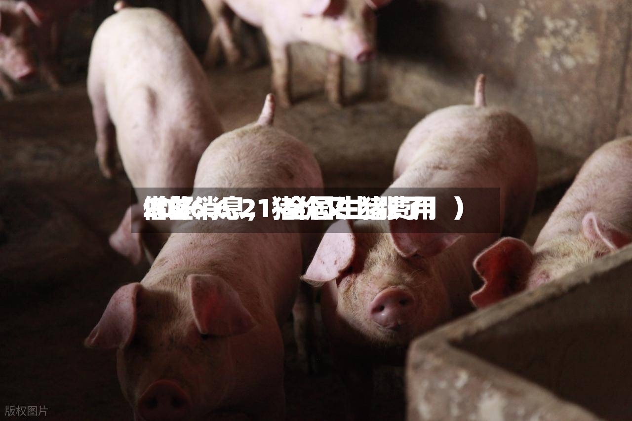 2026.6.21-全国生猪费用借鉴（好消息，猪价又上涨了！）-第2张图片