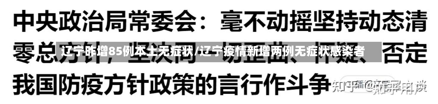 辽宁昨增85例本土无症状/辽宁疫情新增两例无症状感染者-第2张图片