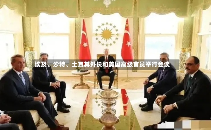 埃及、沙特、土耳其外长和美国高级官员举行会谈-第2张图片