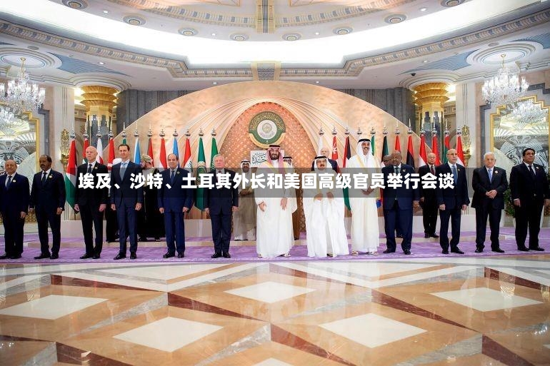 埃及、沙特、土耳其外长和美国高级官员举行会谈