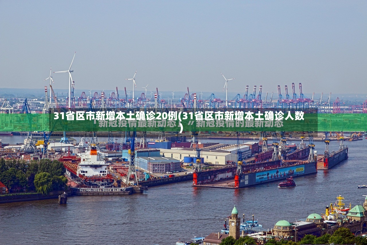 31省区市新增本土确诊20例(31省区市新增本土确诊人数)