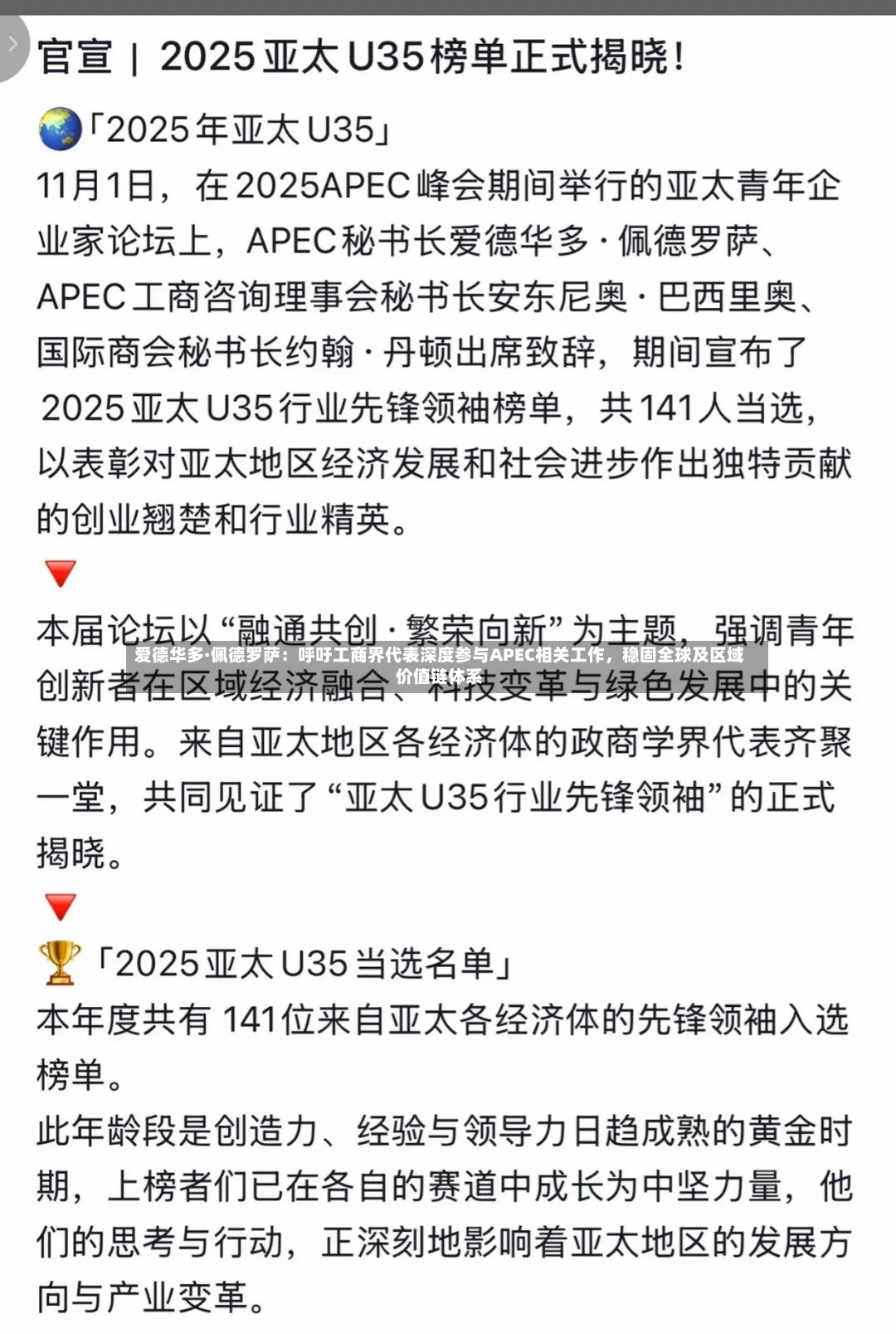 爱德华多·佩德罗萨：呼吁工商界代表深度参与APEC相关工作，稳固全球及区域价值链体系-第3张图片