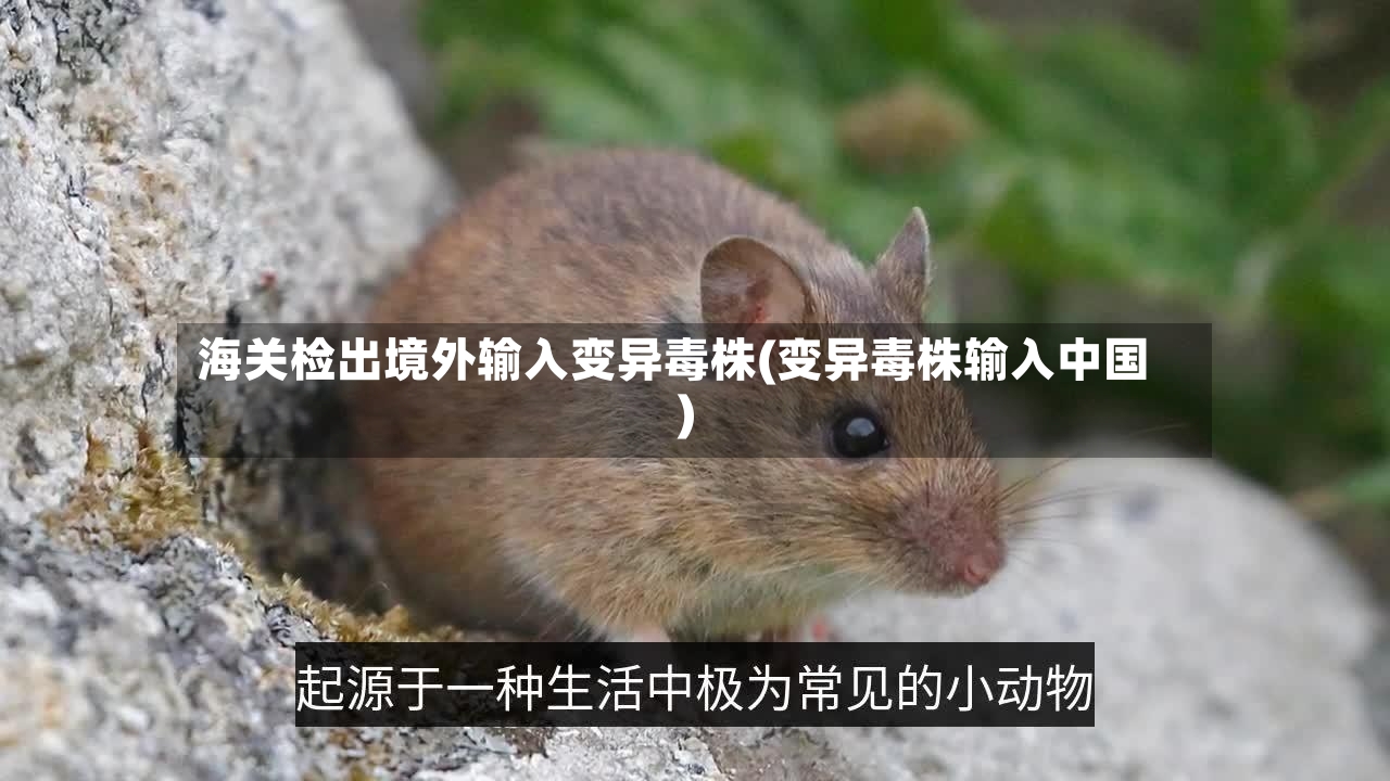 海关检出境外输入变异毒株(变异毒株输入中国)