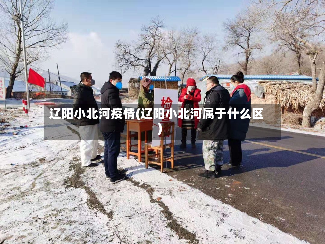 辽阳小北河疫情(辽阳小北河属于什么区)