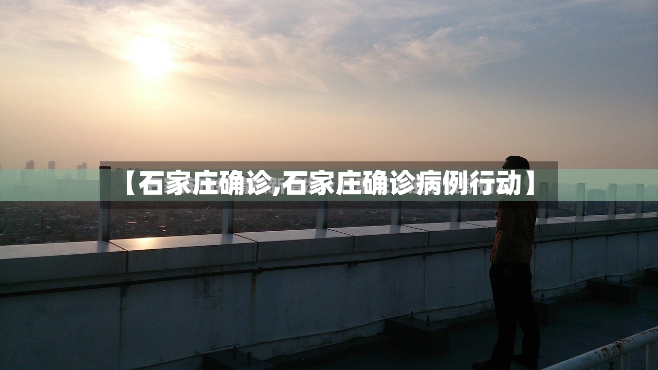 【石家庄确诊,石家庄确诊病例行动】