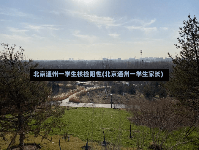 北京通州一学生核检阳性(北京通州一学生家长)-第2张图片