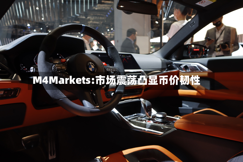 M4Markets:市场震荡凸显币价韧性-第3张图片