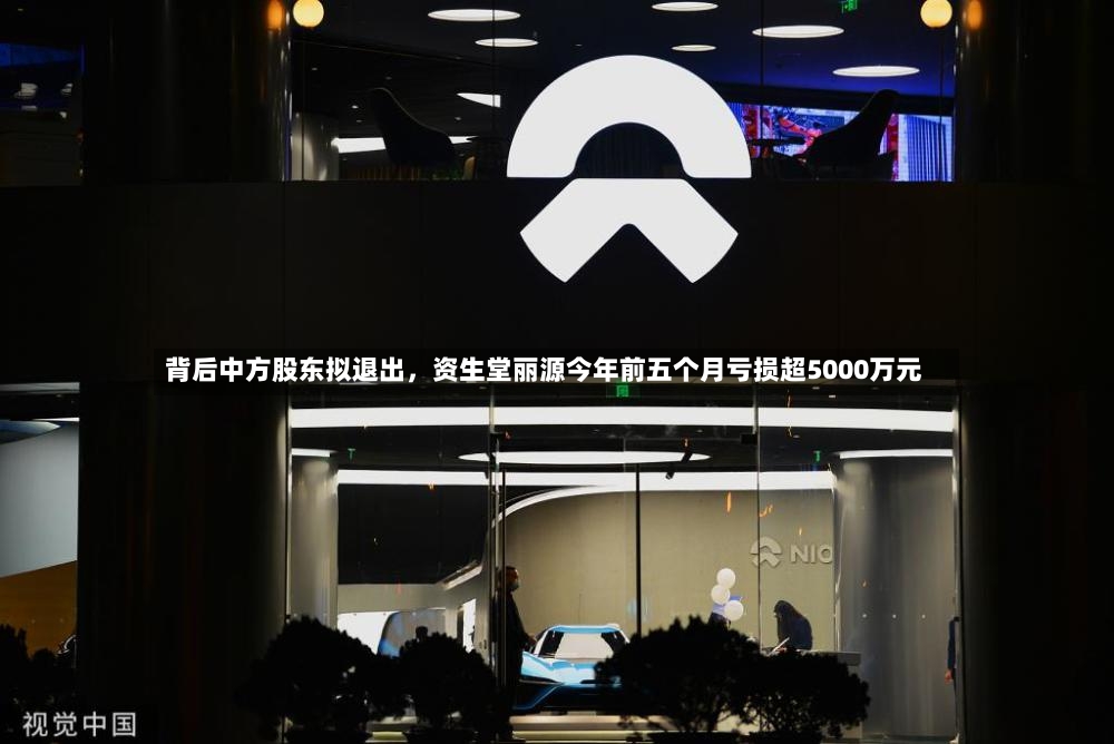 背后中方股东拟退出，资生堂丽源今年前五个月亏损超5000万元-第3张图片