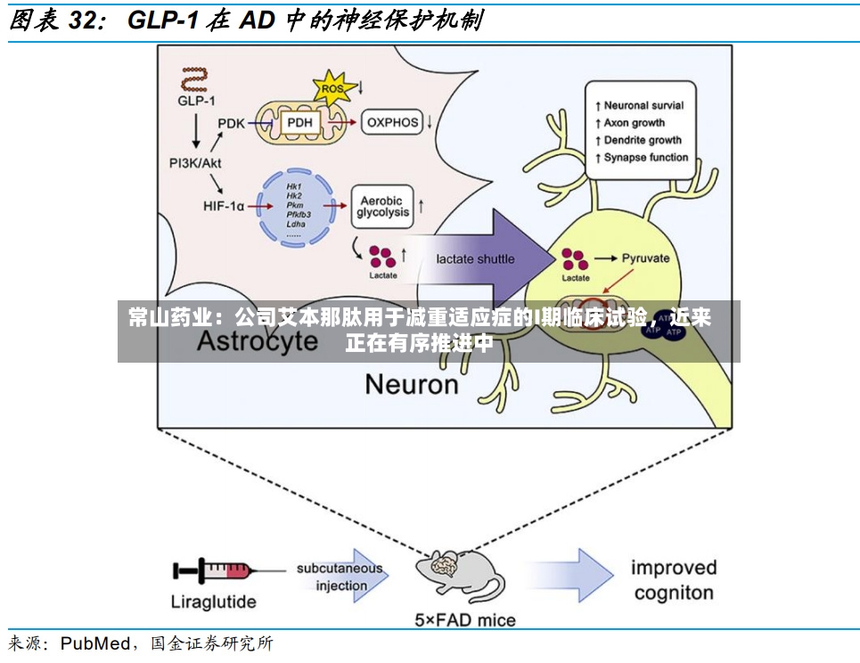常山药业：公司艾本那肽用于减重适应症的I期临床试验，近来正在有序推进中