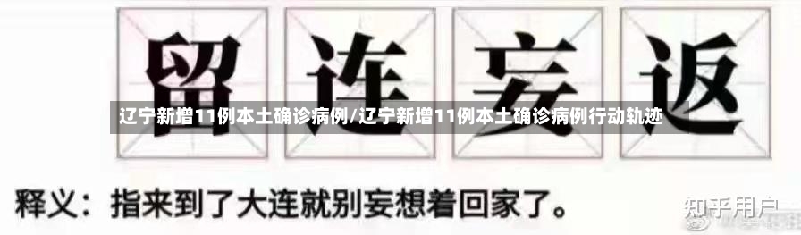 辽宁新增11例本土确诊病例/辽宁新增11例本土确诊病例行动轨迹
