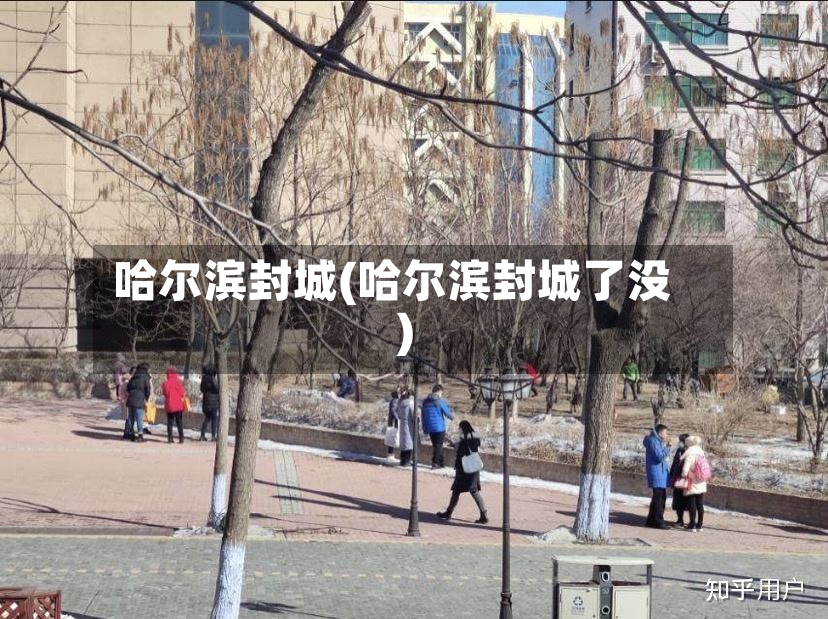 哈尔滨封城(哈尔滨封城了没)