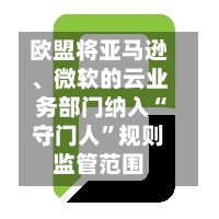 欧盟将亚马逊、微软的云业务部门纳入“守门人	”规则监管范围-第2张图片