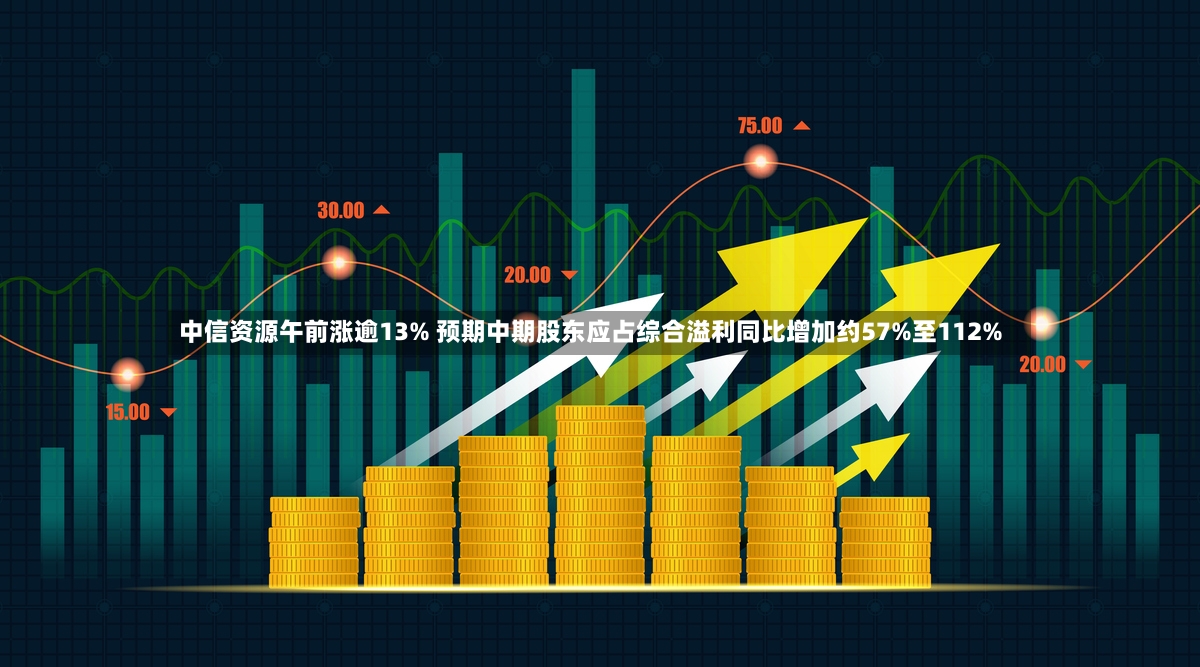 中信资源午前涨逾13% 预期中期股东应占综合溢利同比增加约57%至112%-第3张图片