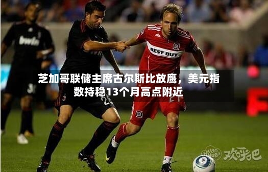 芝加哥联储主席古尔斯比放鹰，美元指数持稳13个月高点附近