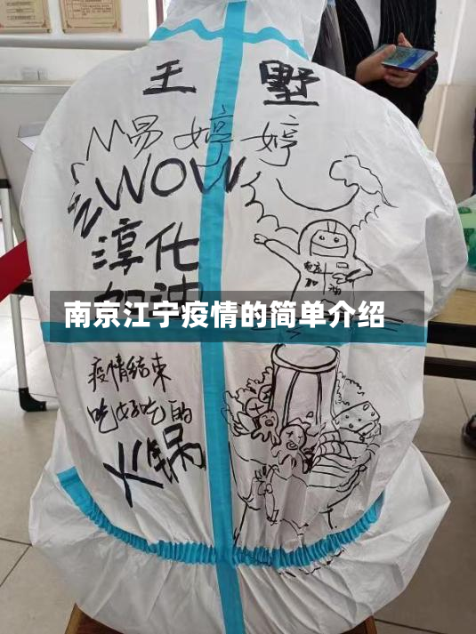 南京江宁疫情的简单介绍