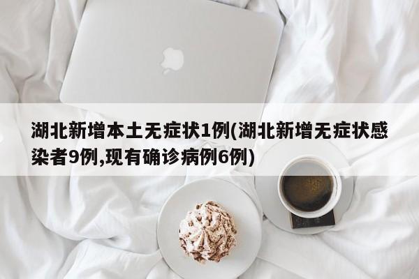 湖北新增本土无症状1例(湖北新增无症状感染者9例,现有确诊病例6例)