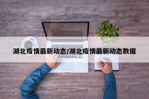 湖北疫情最新动态/湖北疫情最新动态数据