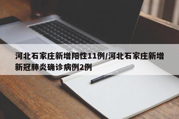 河北石家庄新增阳性11例/河北石家庄新增新冠肺炎确诊病例2例