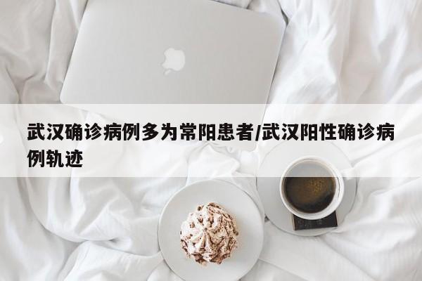 武汉确诊病例多为常阳患者/武汉阳性确诊病例轨迹